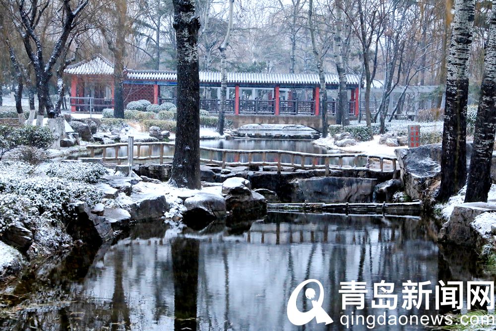 瑞雪之中 青岛沧口公园更显古典之美