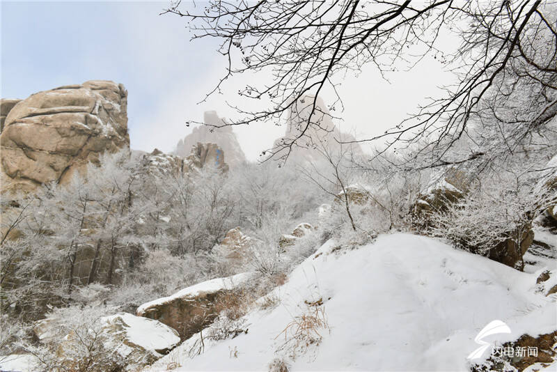 美！严寒下的崂山跨年雪景等你打卡