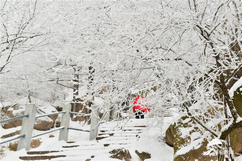 美！严寒下的崂山跨年雪景等你打卡