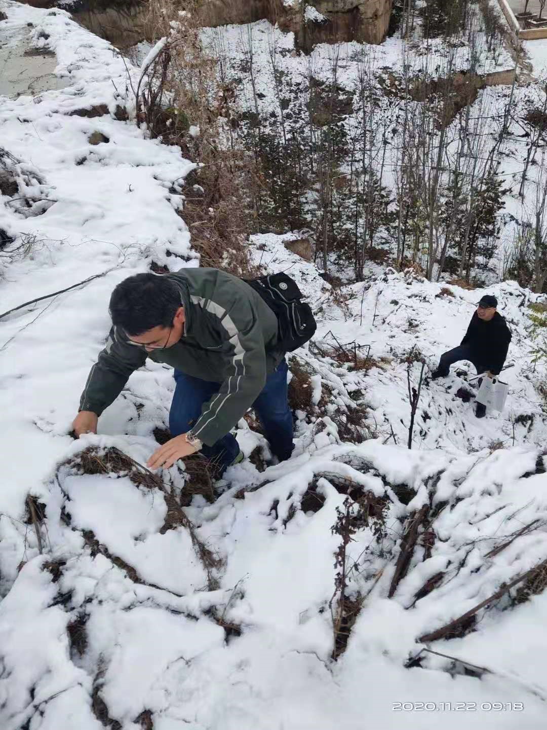 国家文物局：已完成4532处石窟寺及摩崖造像现场调查