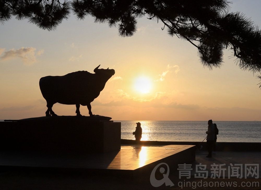 青岛雕塑园展出一批“牛”雕塑 吸引市民来打卡