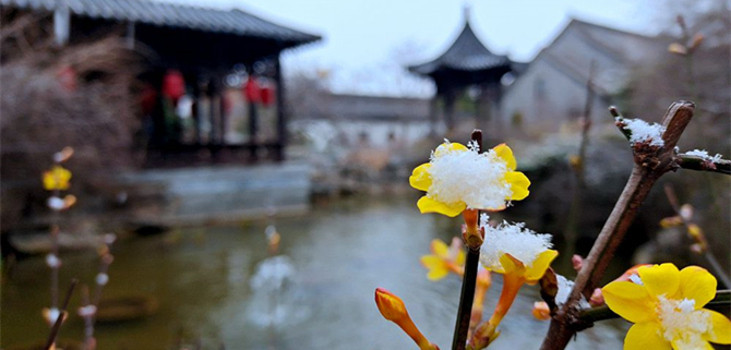 春雪飘飘 青岛即墨古城美丽而富有诗意