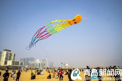 只凭风力健不假羽毛丰 石老人二月二风筝放飞活动剪影