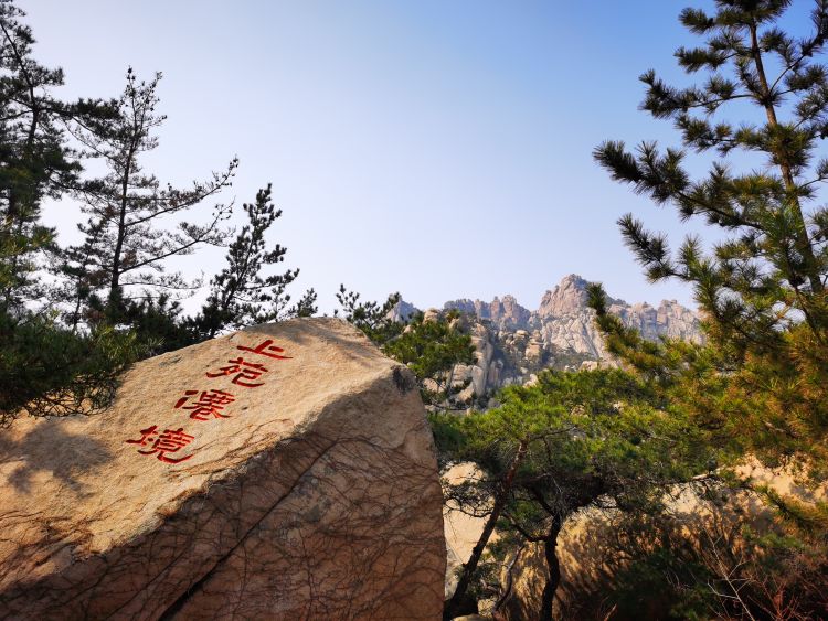 醉美崂山 市民踏青忙