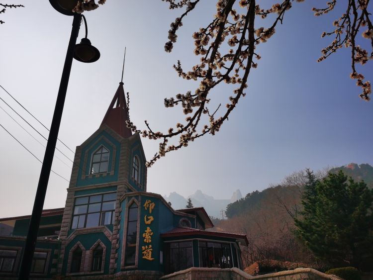 醉美崂山 市民踏青忙