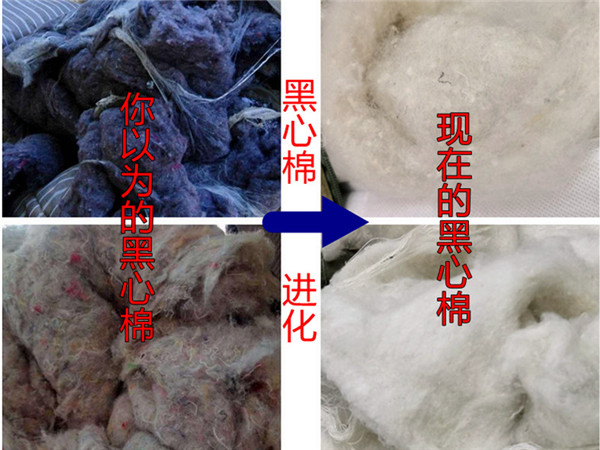 ＂黑心棉＂进化升级、娃娃机藏隐患 3·15专家支招辨真假