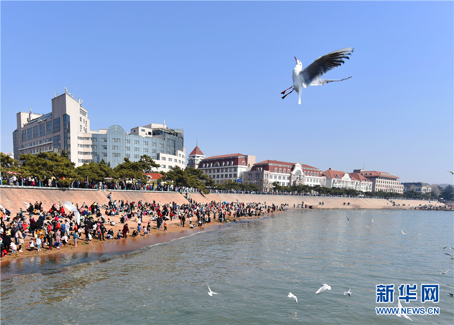 山东青岛：游客乐享海岸春天