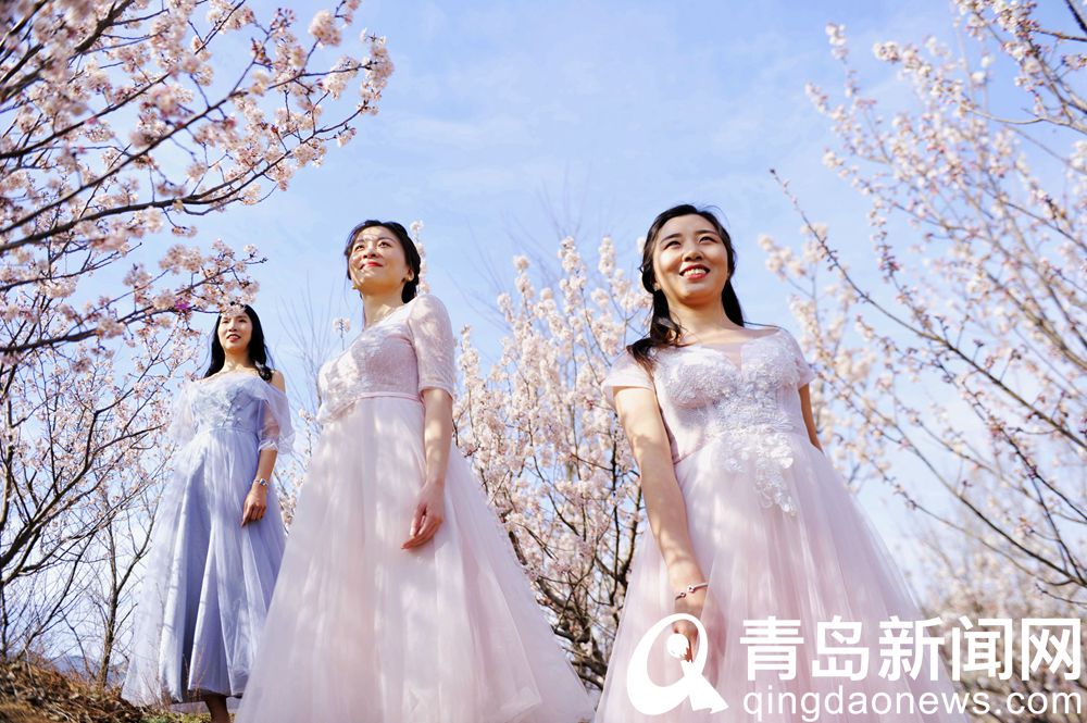 青岛大片：春光最是乡村好 美丽乡村游人踏春赏花打卡忙