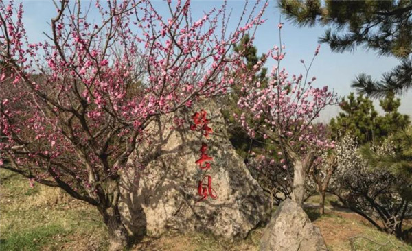 青岛地铁13号线沿线幽静踏青地 想去的看过来！