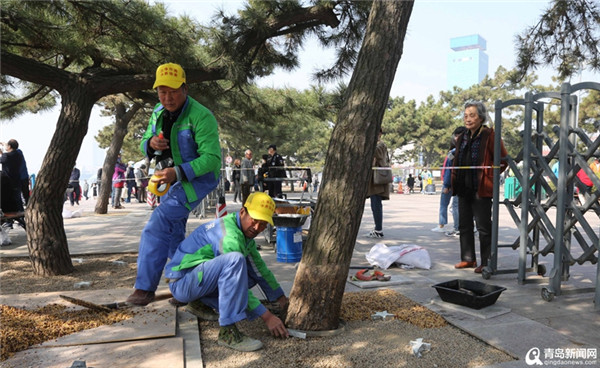 栈桥新景观持续扮靓 清明未至沿海一线已络绎不绝