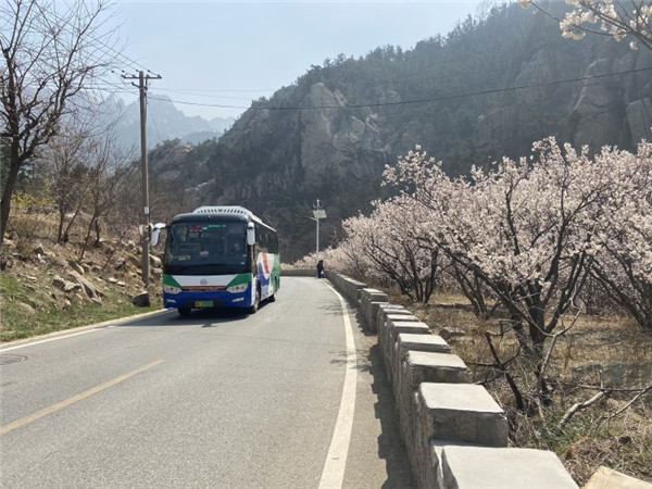 青岛各大汽车站长途线路全部复运 清明节假期，这些出行信息别错过