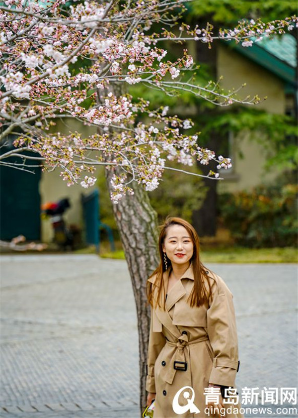 【花消息】樱花季到来动青城 朋友圈里晒樱花