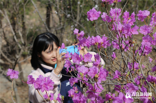 山花烂漫正当时 灵珠山踏青祈福赏花节邀你来打卡