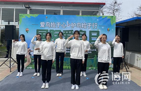 助鸟护鸟少年先行 爱鸟日30多只野生鸟类回蓝天