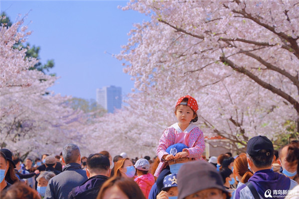 中山公园除了浪漫樱花 美丽的小姐姐纷纷来打卡！