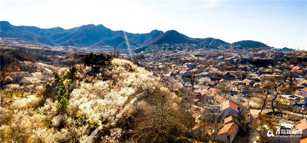 溪水潺潺、鸟语花香…青岛这个乡村旅游景区火了