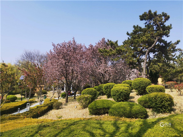 青岛太平角公园：凭海听风，海滨木栈道邂逅浪漫