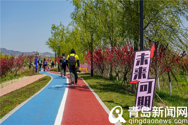 穿行在山水绿荫繁花中 张家楼有条网红健步路线