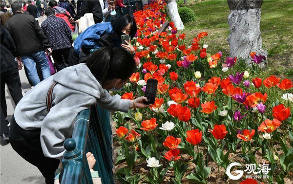 项目“投资”游客“投票”，青岛旅游晋位“双十佳”