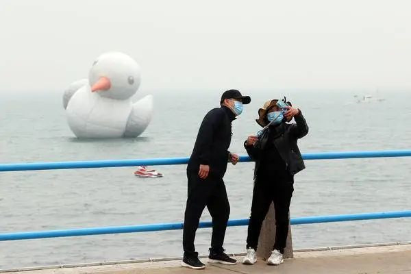 高28米、长26米、宽20米！青岛来了只大海鸥