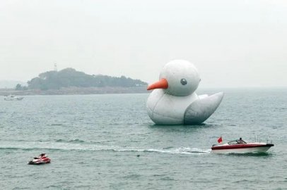 高28米、长26米、宽20米！青岛来了只大海鸥