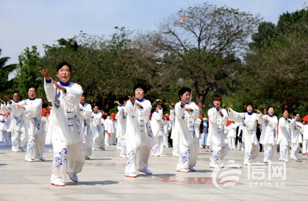 丰富老年人精神文化生活 即墨推动创建“太极拳之乡”