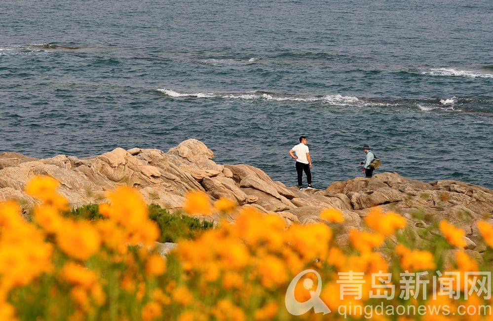 夏花更比春花美 青岛西海岸环岛路成夏日网红打卡地