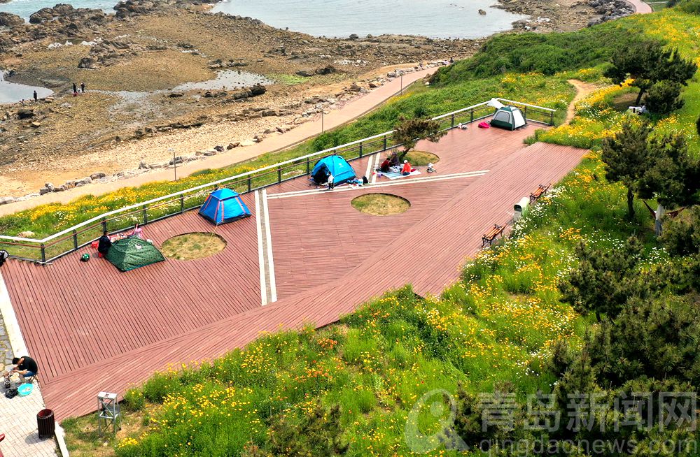 夏花更比春花美 青岛西海岸环岛路成夏日网红打卡地