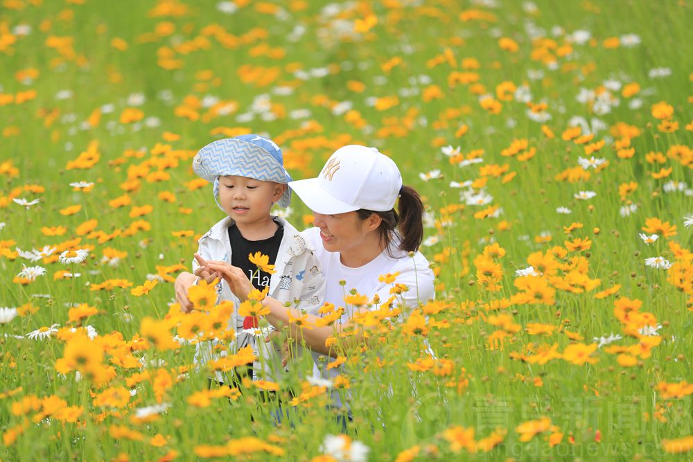 夏花更比春花美 青岛西海岸环岛路成夏日网红打卡地