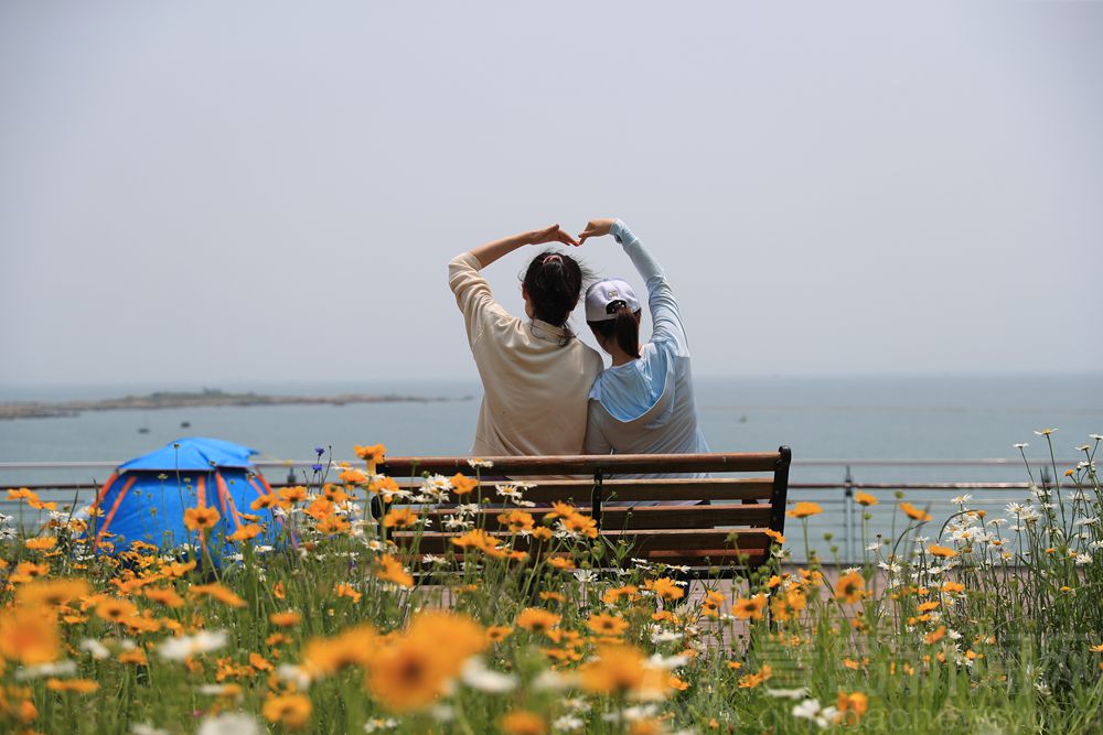 夏花更比春花美 青岛西海岸环岛路成夏日网红打卡地