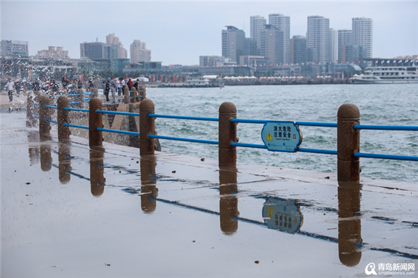 又见壮观平流雾！青岛沿海一线仿佛“置身仙境”