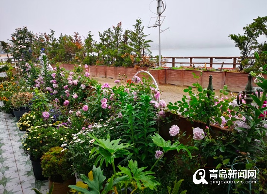 爱了！雨天一定要去青岛海边喝一杯咖啡