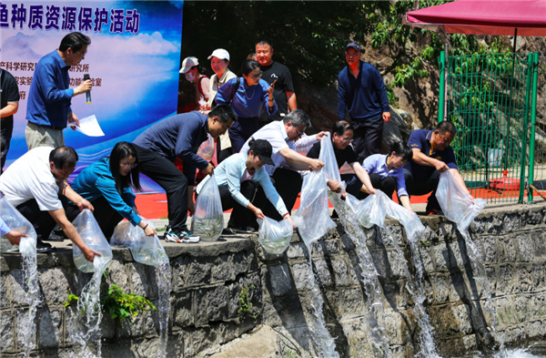 联合国在青岛开会研讨，全国主会场放在青岛！这个全球性节日，青岛C位亮相！