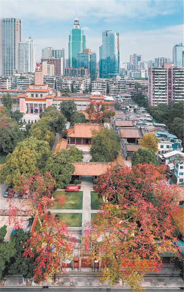花城的英雄气质(我与一座城·红色记忆②)