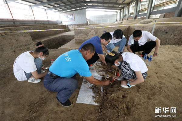 河北正定：学习考古知识 感悟文化遗产魅力