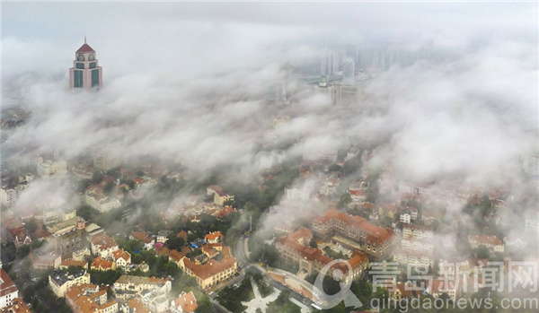 蒙蒙细雨邂逅平流雾 云雾袅袅更似仙境