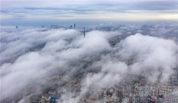 蒙蒙细雨邂逅平流雾 云雾袅袅更似仙境