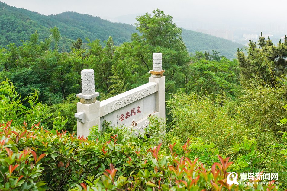 打卡夏日的竹子庵公园 感受沁人心脾的凉爽与静谧