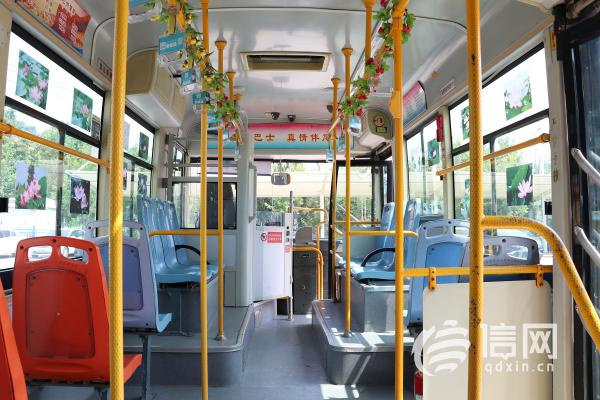 青岛公交线路加大运力投放 搭载乘客欣赏映日荷花