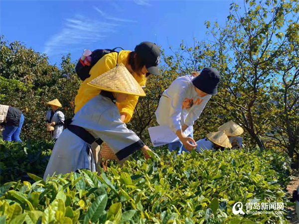 天然氧吧! 崂山这个社区成功入选＂国家级＂旅游重点村