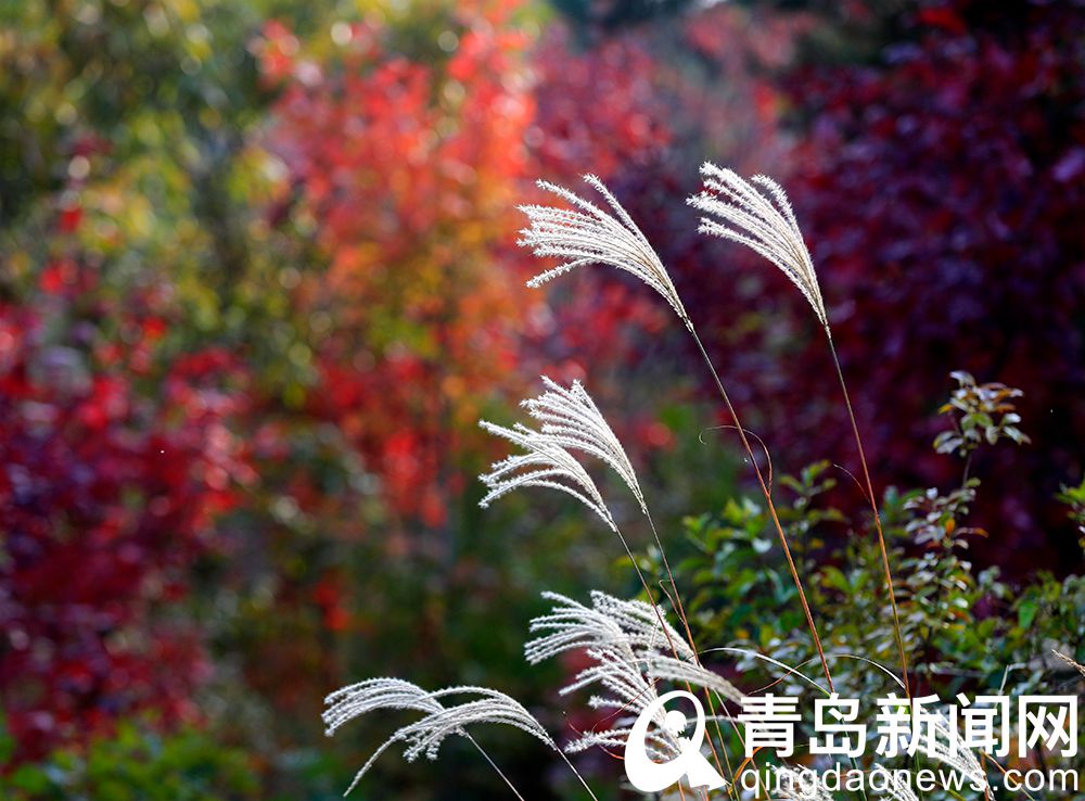 秋天的大珠山 大自然的色彩之美令人陶醉