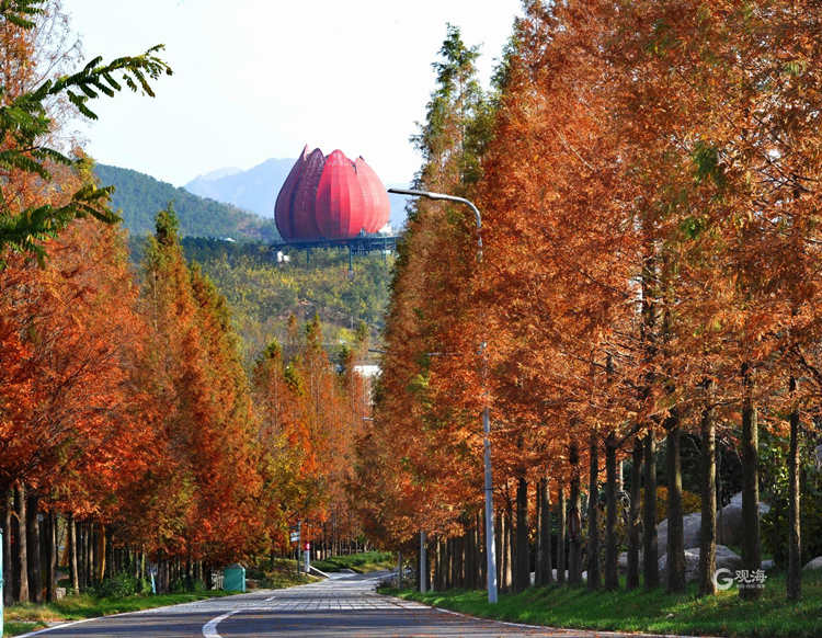 斑斓的秋色在等你！青岛这份赏叶地图你值得拥有