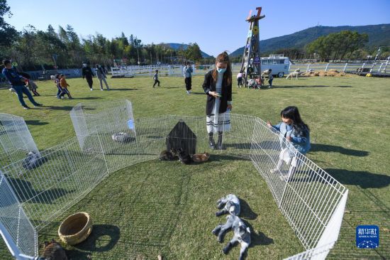 浙江湖州：发展特色乡村旅游 助力乡村振兴