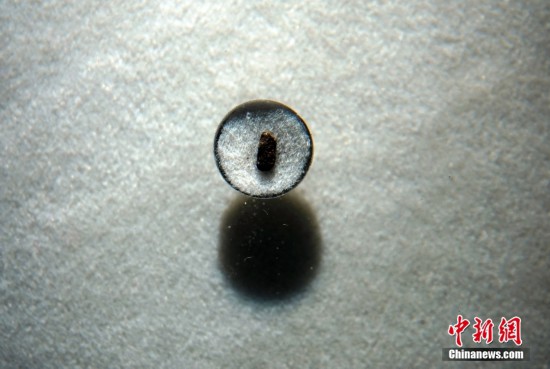 浙江上山文化考古特展举行 世界最早稻作彩陶遗址将申遗