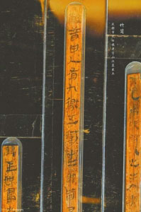 文物“医生”分享揭秘：汉墓出土漆木器如何保护？
