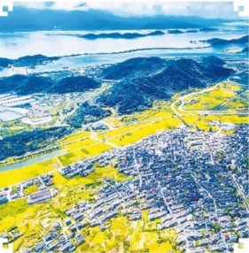 宁波奉化：美丽风景线赋能乡村振兴