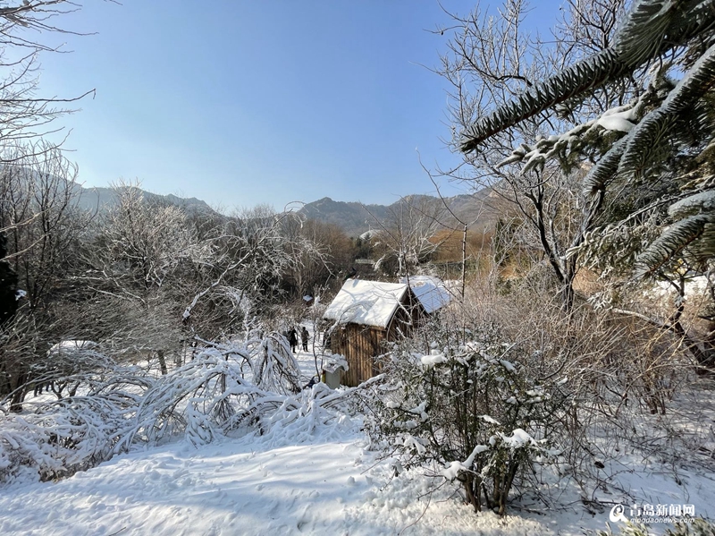 六台大型造雪机打造2000平冰雪乐园 这个元旦等你来