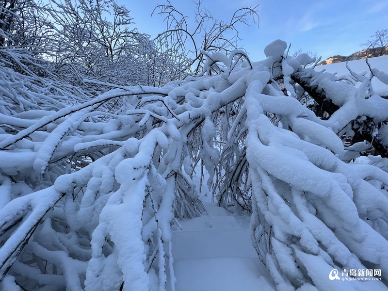 六台大型造雪机打造2000平冰雪乐园 这个元旦等你来