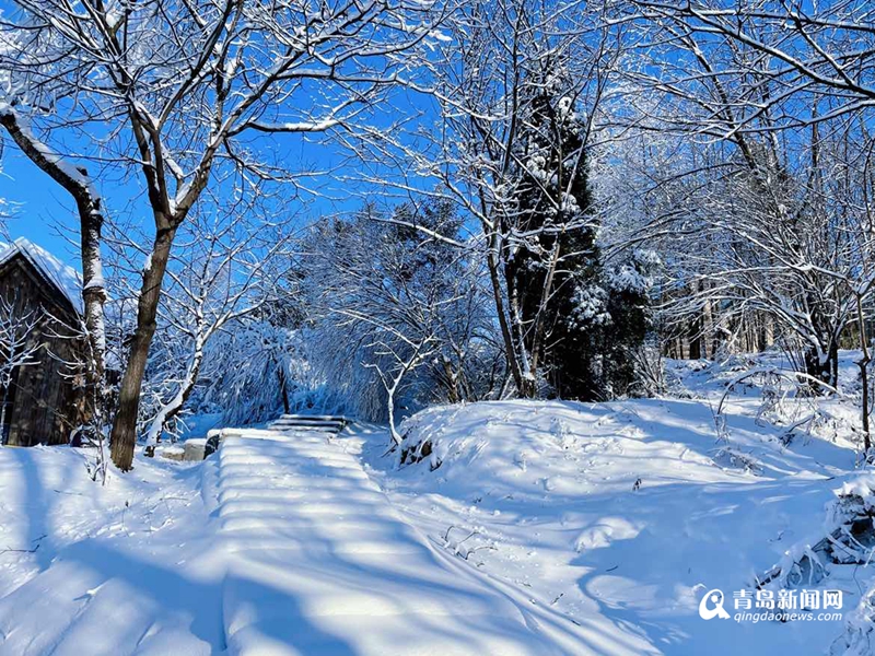 六台大型造雪机打造2000平冰雪乐园 这个元旦等你来