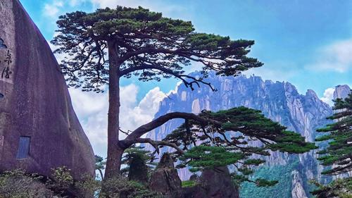 绿色生态 数字技术 新动力重塑中国旅游